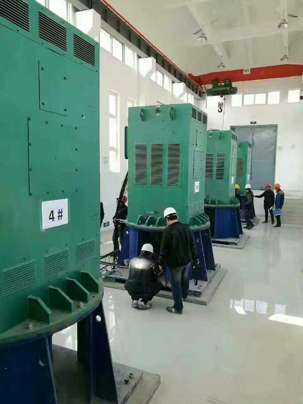 宣汉某污水处理厂使用我厂的立式高压电机安装现场